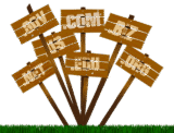 Save Up To 78% on Domain Name Registration